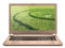Лаптопи Acer Aspire V5-472 (златист)