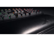 Джаджи Xtrfy WR1