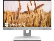 All in One FUJITSU Esprimo K5010