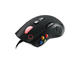 Мишки TteSPORTS VOLOS