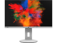 Монитори Fujitsu P2410 TE