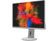 Монитори Fujitsu B2410 WE 