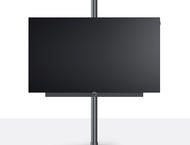 Телевизори Loewe bild i 55 dr+