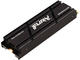 SSD 1TB Kingston Fury Renegade Heatsink NVMe