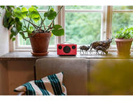 Колони Audio Pro T3+, Coral