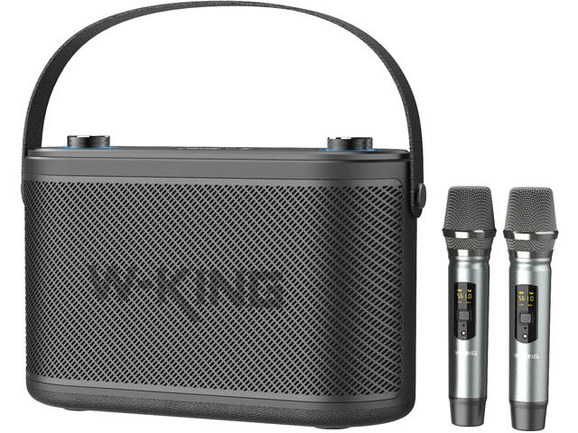 Колони W-King H10 Black