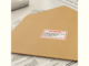 Хартия Brother DK-22251 Continuous Length Paper Tape