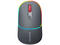 Мишки Canyon MW-22 CNS-CMSW22, Dark grey