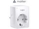 Smart Home TP-Link Tapo P100M