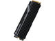 SSD 1TB SSD Transcend 250H M.2 NVMe