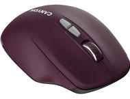 Мишки Canyon MW-21 CNS-CMSW21BR