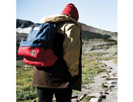 Чанти за Лаптопи Dakine 365 Pack 21L Skogen