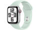 Каишки Apple Watch 40mm Sport Band: Aquamarine Sport Band - S/M (SEASONAL)