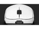 Мишки Endgame Gear OP1w 4K, White