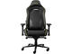 Геймърски столове TRUST GXT 721 Ruya Pro Premium, Black