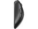 Мишки Pulsar Xlite v4 Size1 - 1K (8K compatible), Black