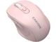 Мишки Canyon OnClick 20, CNE-CMSW20P