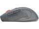 Мишки Canyon OnClick 20, CNE-CMSW20DG