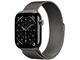 Slate Titanium Case /Slate Milanese Loop S/M