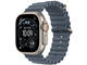 Natural Titanium Case/Anchor Blue Ocean Band