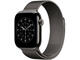 Каишки Apple Watch 42mm Loop: Slate Milanese Loop