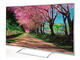 Телевизори Panasonic TX-47AS750E