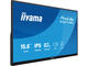 Монитори IIYAMA ProLite P1671HSC-B1