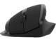 Мишки Canyon OnClick 17 CNE-CMSW17B