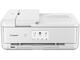 Принтери Canon PIXMA TS9551CA