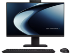 All in One Asus ExpertCenter P400 P440VAK-BPCD730