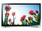 Телевизори Samsung UE22F5470SSXZG
