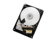Твърди дискове 2TB 7200 rpm Hitachi Ultrastar SAS