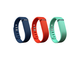 Каишки Fitbit Flex Wristband Accessory Pack