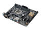 Дънни платки Asus H110M-PLUS D3