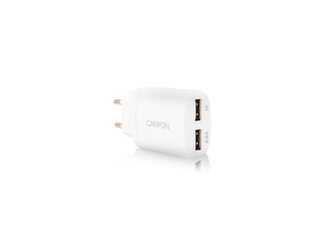 Зарядни устройства Canyon CNE-CHA22W